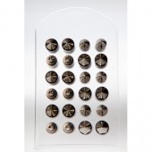 B1003 - FAKE PLUG - SURGICAL STEEL - MIX CONES - 24 pieces (2 dozen) on a display tray